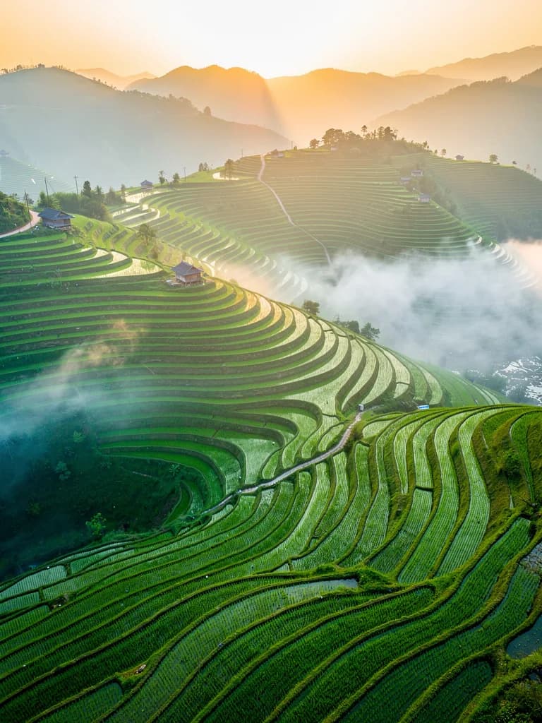 Aerial landscape of terraced rice fields in morning mist