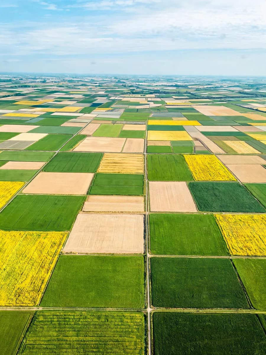 Aerial view of geometric agricultural patterns from a drone